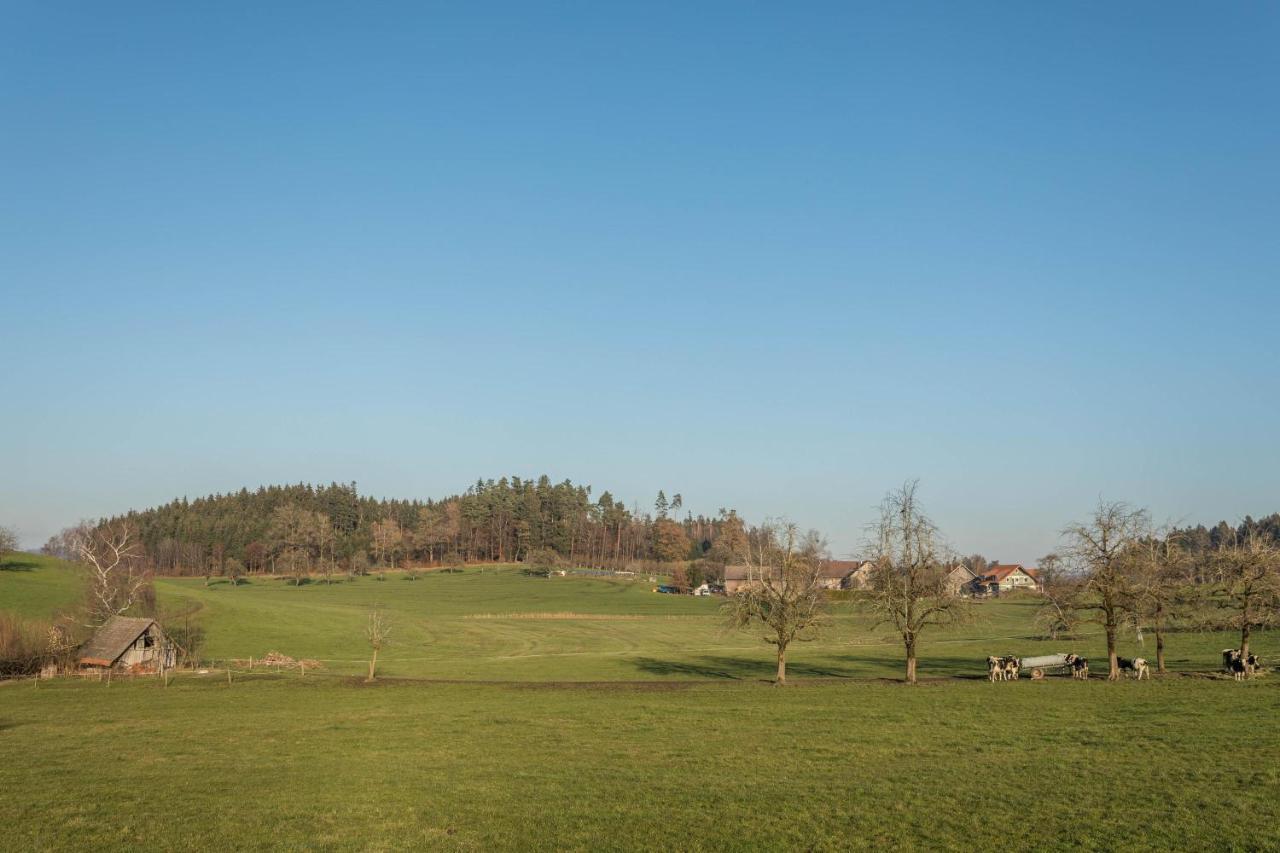 Sauter Romanshorn Apartment *